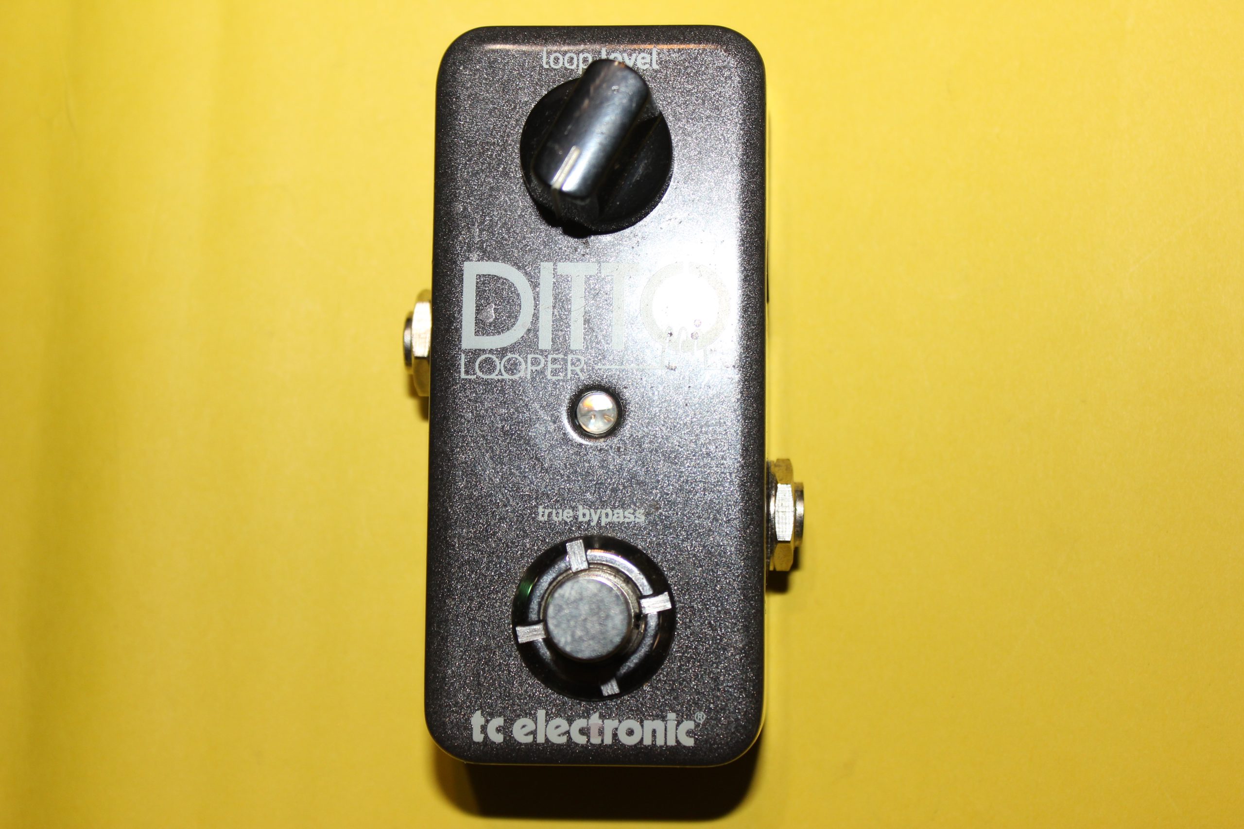 TC Electronic Ditto Looper